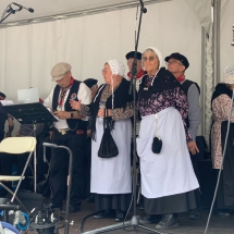 Dordt op Stoom